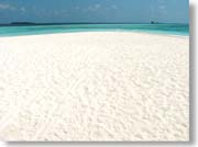 �^���������l