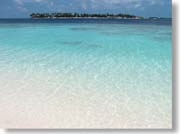 ���C�̌������ɋ����̓�