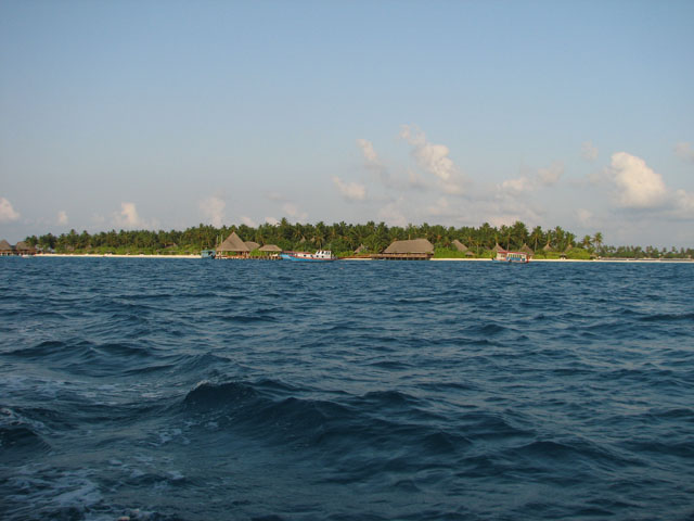 ����Ă������B�����[�t