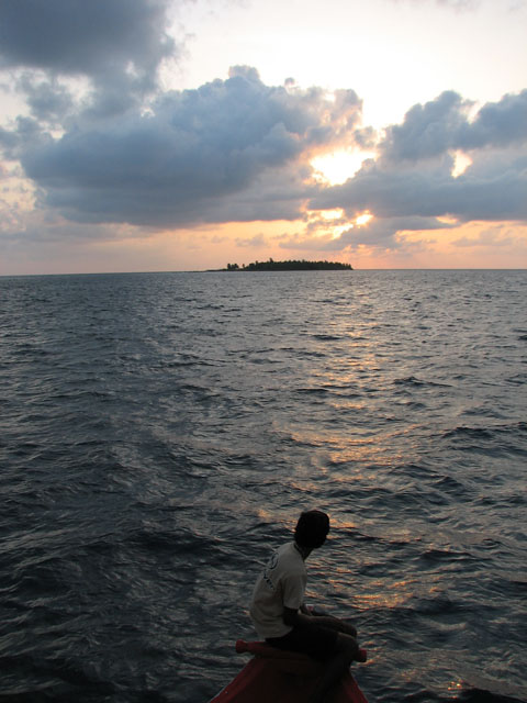 �D�̃X�^�b�t�Ɨ[��