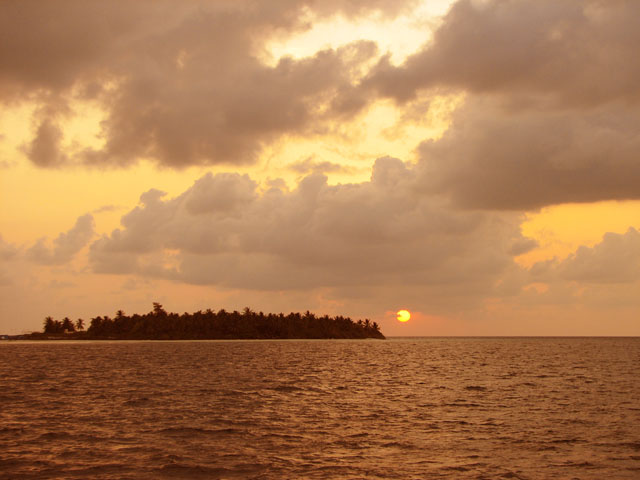 �T���Z�b�g