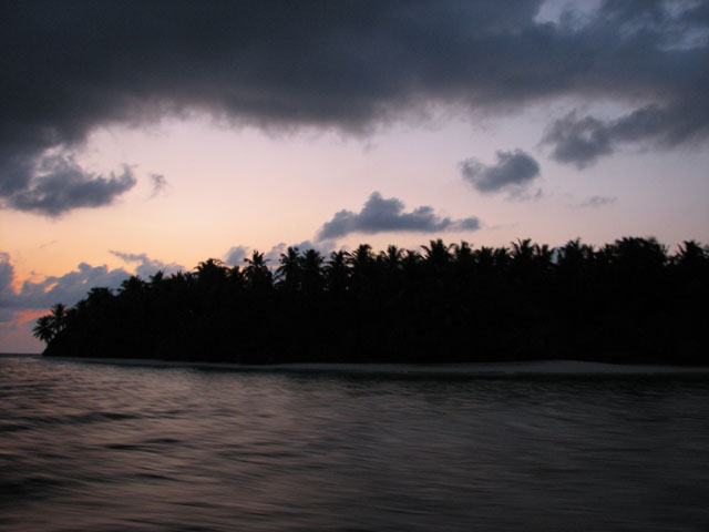 �łɗ����铇