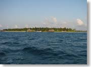 ����Ă������B�����[�t