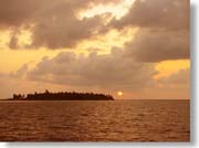 �T���Z�b�g