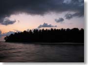 �łɗ����铇