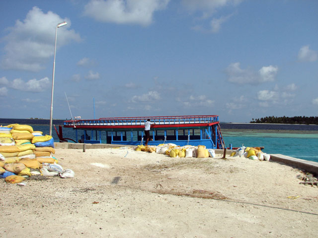 �~�[�h�[������