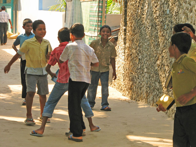 ���n�̎q���B