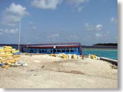 �~�[�h�[������