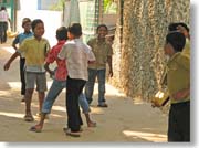 ���n�̎q���B