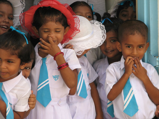 ���C�Ȍ��n�̎q���B