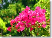 �u�[�Q���r���A