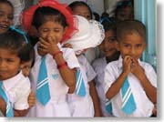 ���C�Ȍ��n�̎q���B