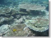 �ςݏd�Ȃ�X��