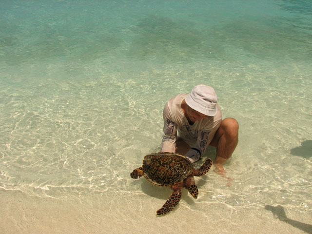 �E�~�K���ƃ��V�A�l