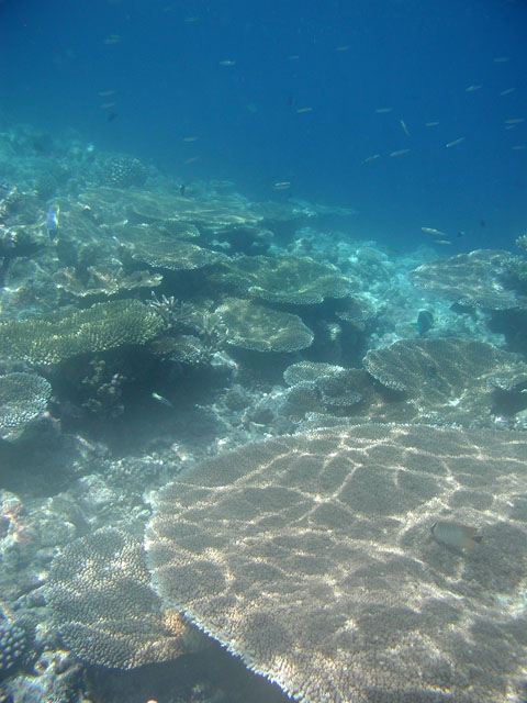 �������X��Q