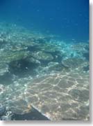 �������X��Q