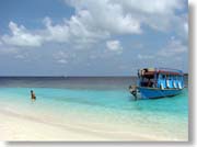 �q���B�ƃh�[�j�[