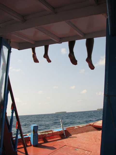 �h�[�j�[�̏ォ��L�т鑫