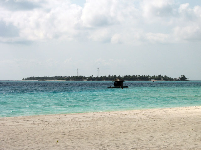 �~�[�h�[��