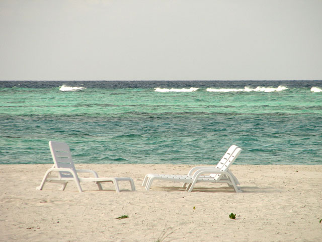 �r�[�`�ɔ����f�b�L�`�F�A