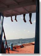 �h�[�j�[�̏ォ��L�т鑫