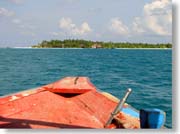 ���F���[���@���O��