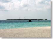 �~�[�h�[��