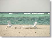 �r�[�`�ɔ����f�b�L�`�F�A