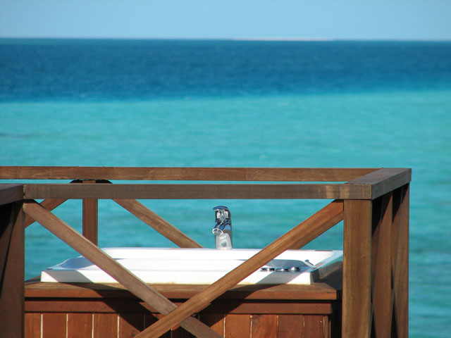 �C�ƃW���O�W�[