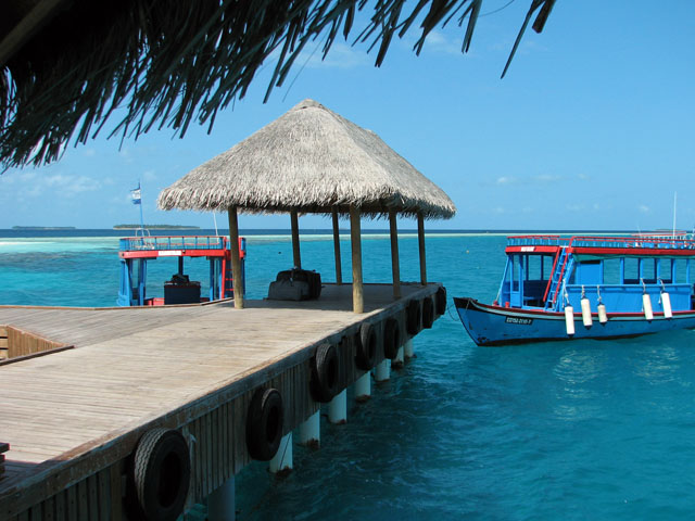 �W�F�b�e�B