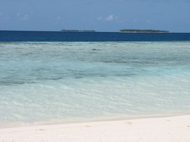 �r�[�`�ƃA�C�����h