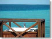 �C�ƃW���O�W�[