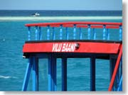 �C�ƃh�[�j�[