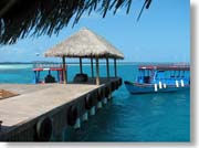 �W�F�b�e�B