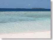 �r�[�`�ƃA�C�����h