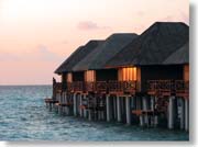 ���ピ�B��