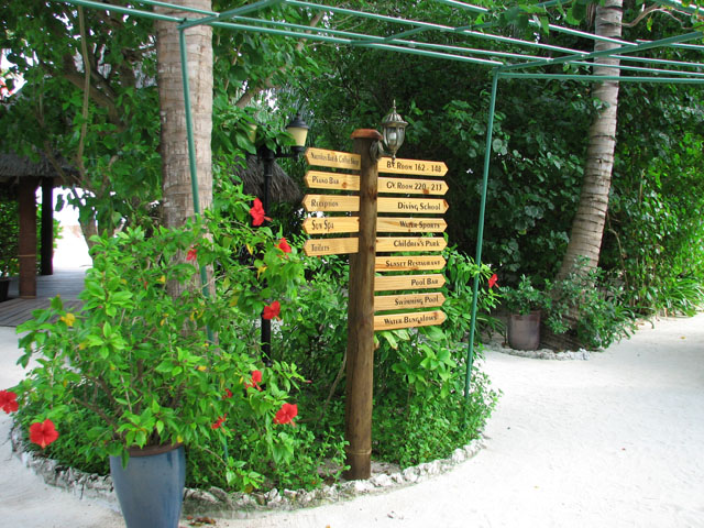 �n�C�r�X�J�X�ƈē���