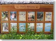 �G�N�X�J�[�V�����ē���