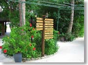 �n�C�r�X�J�X�ƈē���