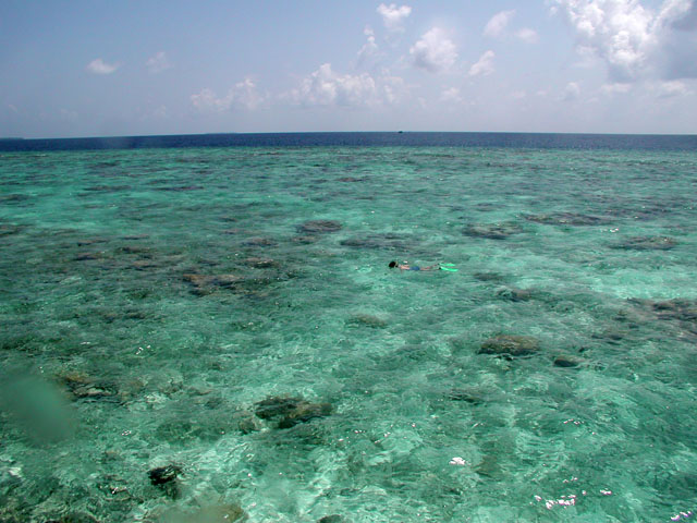 �V���m�[�P�����O���Ă����