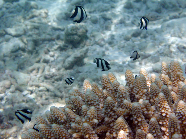 �~�X�W�����E�L���E�X�Y���_�C