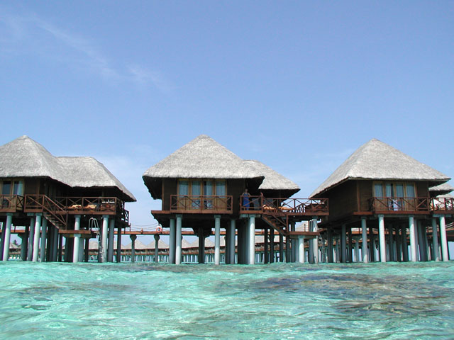 �C���猩�����ピ�B��