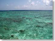 �V���m�[�P�����O���Ă����