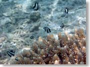 �~�X�W�����E�L���E�X�Y���_�C