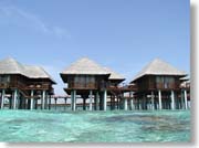 �C���猩�����ピ�B��