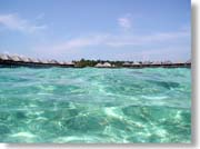 ���C���猩�����ピ�B��