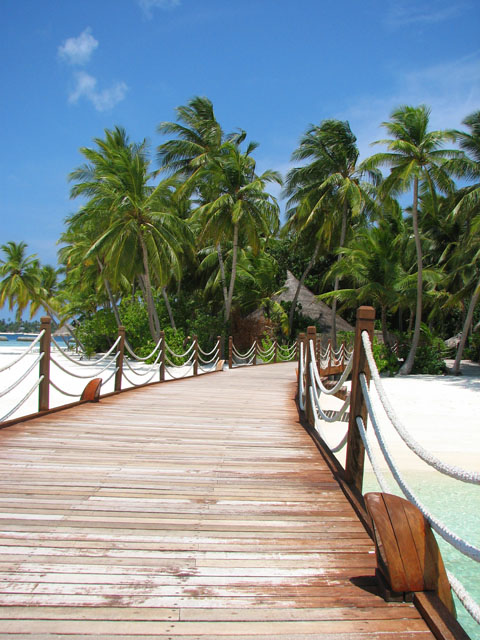 ���ピ�B�����瓇�֒ʂ���V��