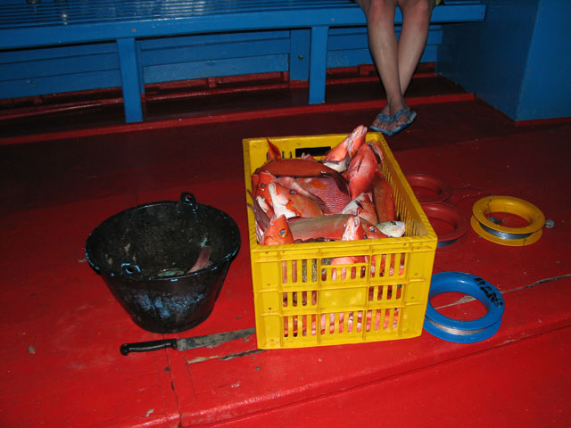 �ނ�グ����