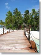 ���ピ�B�����瓇�֒ʂ���V��