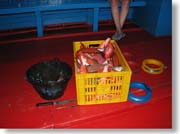 �ނ�グ����